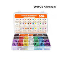 306PCS Car Blade Fuse Kit – Complete Auto Fuse Assortment with Tester & Puller