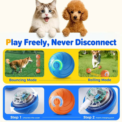 ⚡Crazy-Sale⚡69k-Sold⚡Shaky Ball Toy for Dogs, Interactive Dog Ball-A11